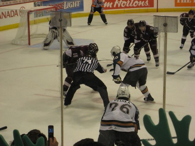 Manitoba Moose play Hershey Bears in Calder Cup final in June 2009